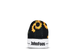 182_sunflower_back